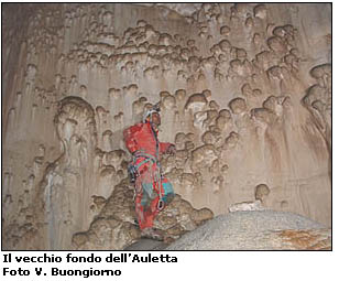 Il vecchio fondo dell'Auletta