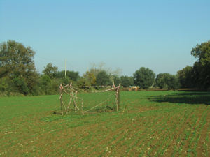 Foto di Giampaolo Pinto