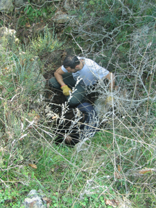 Foto di Giampaolo Pinto