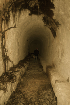 Foto di Marilena Rodi