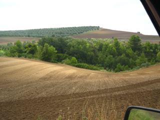 Foto Marilena Rodi