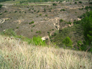 Foto Marilena Rodi