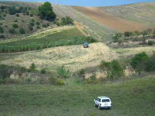 Foto Marilena Rodi