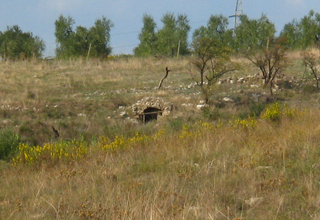 Foto Marilena Rodi