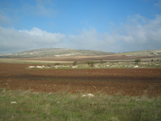 Foto Marilena Rodi