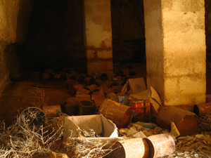 Foto Marilena Rodi