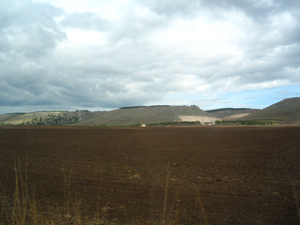 Foto Marilena Rodi
