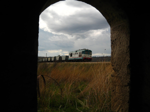 Foto Marilena Rodi