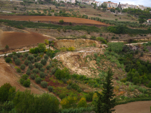 Foto Marilena Rodi
