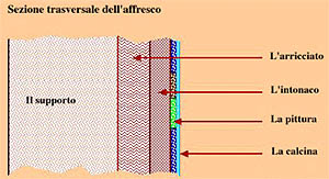Sezione trasversale dell'affresco