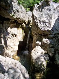 Foto Giampalo Pinto