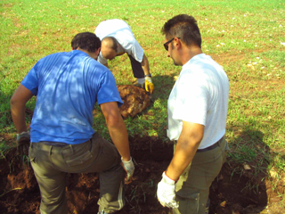Foto Giampaolo Pinto