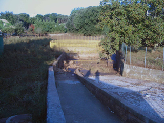Foto Giampaolo Pinto