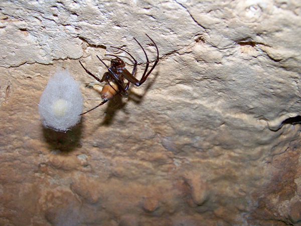 Foto Giampaolo Pinto