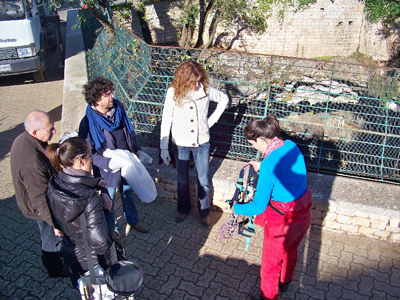 Foto Francesca Dicarlo