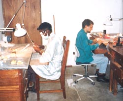 Antonio Baccarelli al lavoro nel laboratorio africano