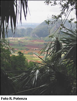 Valle di Viñales