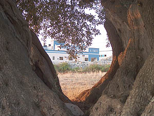 Chiantata di Pozzo Pitruddo
